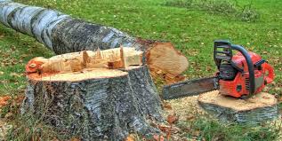 Best Tree Disease Treatment  in Bloomingdale, IL