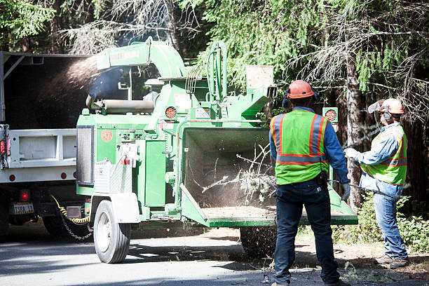 Mulching Services in Bloomingdale, IL