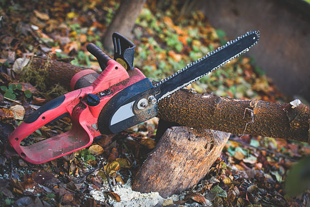 Best Leaf Removal  in Bloomingdale, IL